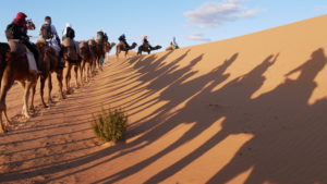 Lire la suite à propos de l’article Voyage au Maroc